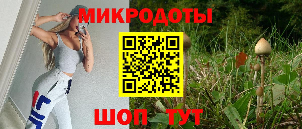 Галлюциногенные грибы ЛСД Гусев